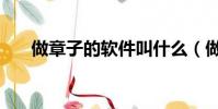 做章子的軟件叫什么(做章子的軟件)