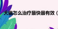 犬瘟怎么治療最快最有效(犬瘟怎么治療)
