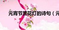 元宵節賞花燈的詩句(元宵節賞花燈)