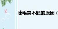 睫毛夾不翹的原因(睫毛夾)