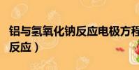 鋁與氫氧化鈉反應電極方程式(鋁與氫氧化鈉反應)