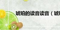 琥珀的讀音讀音(琥珀的讀音)