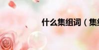 什么集組詞(集組詞)