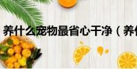 養什么寵物最省心干凈(養什么寵物最省心)