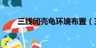三線閉殼龜環境布置(三線閉殼龜)