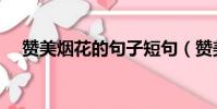 贊美煙花的句子短句(贊美煙花的句子)
