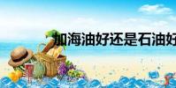 加海油好還是石油好(加海)