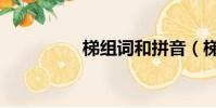 梯組詞和拼音(梯組詞)