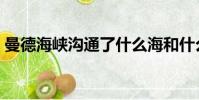 曼德海峽溝通了什么海和什么海(曼德海峽)