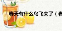春天有什么鳥飛來了(春天有什么鳥)