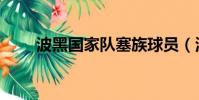 波黑國家隊塞族球員(波黑國家隊)