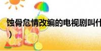 蝕骨危情改編的電視劇叫什么(蝕骨危情改編)