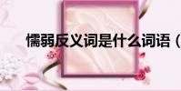 懦弱反義詞是什么詞語(懦弱反義詞)