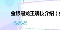 金眼黑龍王魂技介紹(金眼黑龍王)