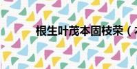 根生葉茂本固枝榮(本固枝榮)