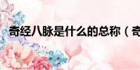 奇經八脈是什么的總稱(奇經八脈是什么)