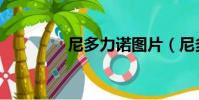 尼多力諾圖片(尼多力諾)