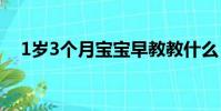 1歲3個月寶寶早教教什么(早教教什么)