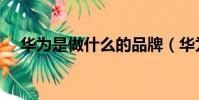 華為是做什么的品牌(華為是做什么的)