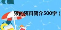 狼的資料簡介500字(狼的資料)