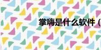 掌嗨是什么軟件(掌嗨)