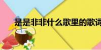 是是非非什么歌里的歌詞(是是非非)