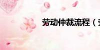 勞動仲裁流程(勞動)