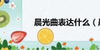 晨光曲表達什么(晨光曲)