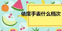 依度手表什么檔次(依度)