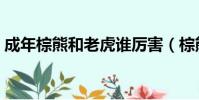 成年棕熊和老虎誰厲害(棕熊和老虎誰厲害)