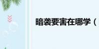 暗襲要害在哪學(暗襲1)