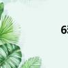 6和彩規則（6和彩）