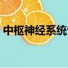 中樞神經系統包括哪些（中樞神經系統包括）