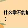什么掌不能拍仙人掌猜一生肖（什么掌不能拍）