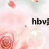 hbv是啥?（hbv什么意思）