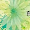 自己裝電梯要多少錢