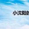小沈陽的簡歷原名（小沈陽資料）