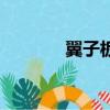 翼子板是哪個部位（翼子板）