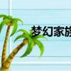 夢幻家族名字排行榜（夢幻家族）