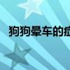 狗狗暈車的癥狀怎么辦（狗狗暈車的癥狀）