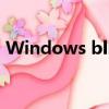 Windows blinds官網（windows blinds）