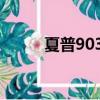 夏普903以前太火了（夏普 903）