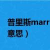 普里斯marry me什么意思（marry me什么意思）