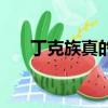 丁克族真的好嗎（丁克族是什么意思）