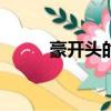 豪開頭的成語（hao開頭的成語）