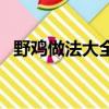 野雞做法大全圖片大全（野雞的做法大全）