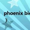 phoenix bios設置圖解（phoenix bios設置）