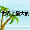世界上最大的貨輪排名（世界上最大的貨輪）