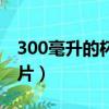 300毫升的杯子圖片大全（300毫升的杯子圖片）