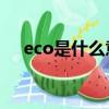 eco是什么意思csgo（eco是什么意思）
